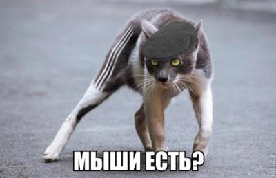 Прикрепленное изображение: 381200.jpg